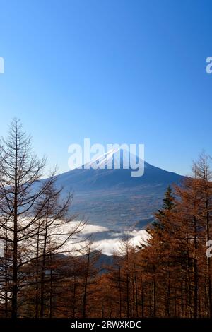 Yamanashi Mt. Fuji jetant un coup d'œil à travers les arbres Banque D'Images