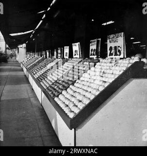 Un magasin de fruits, Hollywood, avec des prix. Photographie rare : tirée d'une collection compilée par un militaire britannique inconnu couvrant la démonstration composite n° 1, batterie AA, tournée des Etats-Unis, à partir du 11 juillet 1943. Il s'agit d'une parmi plus d'une centaine d'images de la collection qui étaient en moyenne autour de 4x3 pouces. Banque D'Images