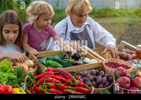 Grand-mère et petite-fille vendent des légumes et des fruits au marché fermier. Mise au point sélective. alimentation. Banque D'Images