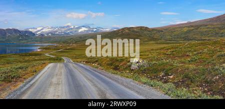 Célèbre route de Jotunheimvegen dans le parc national de Jotunheimen à travers Innlandet dans la région montagneuse de Norvège. Banque D'Images