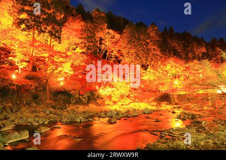 Korankei gorge illuminée de feuilles d'automne Banque D'Images