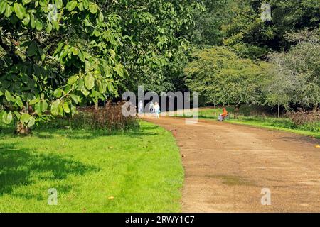 Arboretum et parc ouvert, Bute Park, Cardiff. Prise en septembre 2023 Banque D'Images