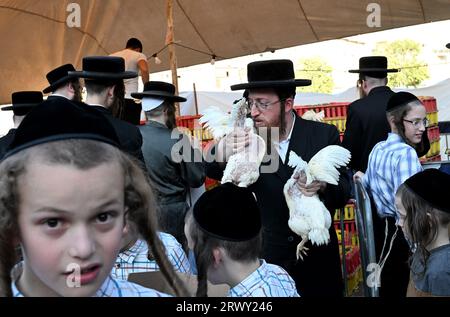 Jérusalem, Israël. 21 septembre 2023. Un juif ultra-orthodoxe porte deux poulets pour l’ancien rituel Kapparot à Mea Shearim à Jérusalem, le jeudi 21 septembre 2023. Kapparot est préformé avant Yom Kippour, le jour des Expiations, le jour le plus sacré du calendrier juif, et transfère symboliquement les péchés de l'année passée au poulet. Photo de Debbie Hill/ crédit : UPI/Alamy Live News Banque D'Images