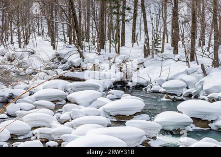 Ishikari Gawa en plein hiver Banque D'Images