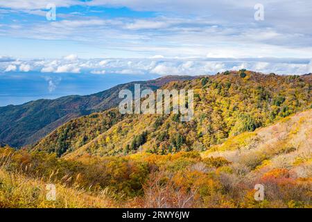 Île de Sado : paysage de feuillage automnal des montagnes de l'Osado et de la mer du Japon vu du point culminant de la Skyline de l'Osado Banque D'Images