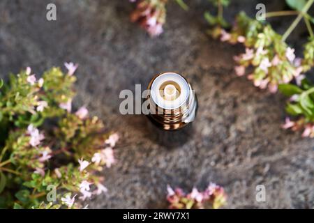 Une bouteille compte-gouttes d'huile essentielle d'aromathérapie avec de l'origan frais en fleurs Banque D'Images