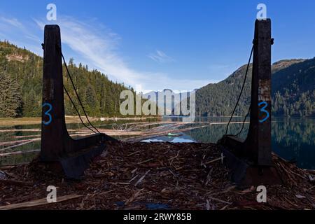 Décharge de billes abandonnée dans la baie Nesook, dans l'Inlet Tiupana, sur la côte ouest des îles de Vancouver. Banque D'Images