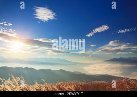 Herbe argentée du matin, mer de nuages, Mt. Fuji, Mt. Chaîne de montagnes Yagatake, et vue lointaine sur les Alpes du Sud Banque D'Images