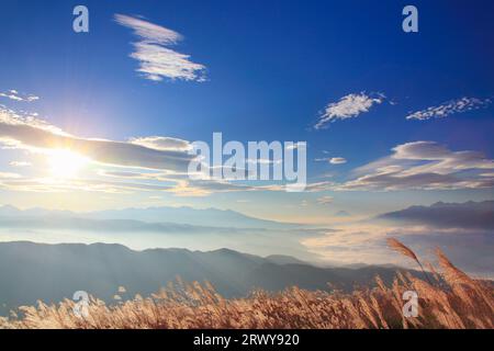 Herbe argentée du matin, mer de nuages, Mt. Fuji, Mt. Chaîne de montagnes Yagatake, et vue lointaine sur les Alpes du Sud Banque D'Images