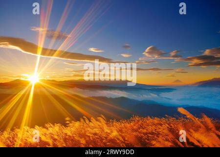 Le soleil levant de Mt. Tateshina, Mt. Fuji, la chaîne de montagnes Yagatake et l'herbe argentée Banque D'Images