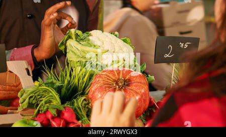 Client féminin vérifiant les légumes naturels à acheter sur le stand du marché alimentaire, client parlant à l'agriculteur à greenmarket. Vendeur montrant des produits naturels biologiques à la foire locale. Prise de vue à main levée. Banque D'Images