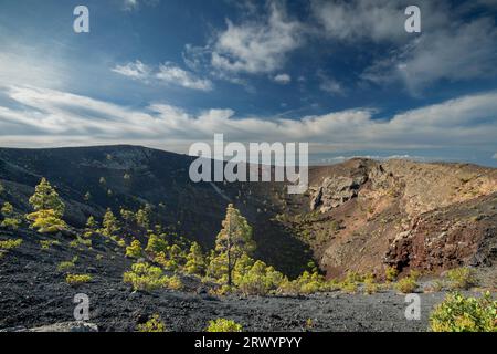 Volcan de San Antonio, cône volcanique avec pins, éruption 1677, Îles Canaries, la Palma Banque D'Images