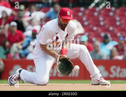 St. Le premier joueur de base de Louis Cardinals, Paul Goldschmidt, se met à un genou pour lancer un ballon sur la chauve-souris de Milwaukee Brewers Rowdy Tellez pour les non assistés en septième manche au Busch Stadium le jeudi 21 septembre 2023. Photo de Bill Greenblatt/UPI Banque D'Images