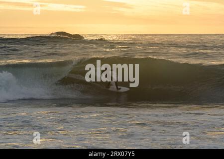 21 septembre 2023, Vina del Mar, Valparaiso, Chili : la vie quotidienne dans l'après-midi du jeudi 21 septembre, sur la plage de Renaca, Chili. Surfeur se positionnant pour entrer dans le tube. (Image de crédit : © Eduardo Hidalgo/ZUMA Press Wire) USAGE ÉDITORIAL SEULEMENT! Non destiné à UN USAGE commercial ! Banque D'Images