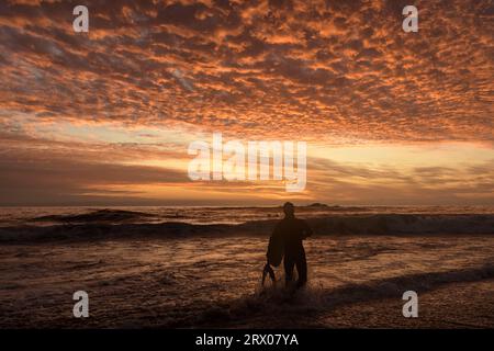 21 septembre 2023, Vina del Mar, Valparaiso, Chili : la vie quotidienne dans l'après-midi du jeudi 21 septembre à Renaca Beach, Chili. Bodyboarder marchant vers la mer pour se nettoyer dans l'eau au coucher du soleil, avec les nuages colorés. (Image de crédit : © Eduardo Hidalgo/ZUMA Press Wire) USAGE ÉDITORIAL SEULEMENT! Non destiné à UN USAGE commercial ! Banque D'Images