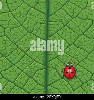 Illustration vectorielle en couches de Ladybug sur Leaf. Illustration de Vecteur