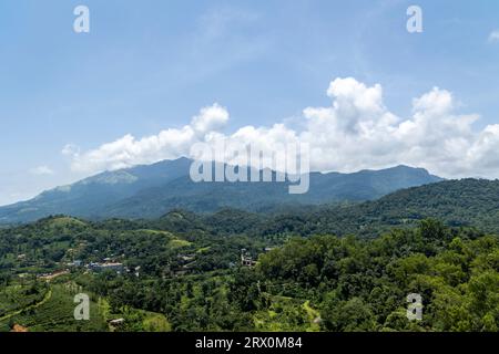 Paysage naturel étonnant Wayanad Kerala beau ciel nuageux avec des montagnes vertes lieu à voir dans le propre pays de dieu Voyage et image touristique. Banque D'Images