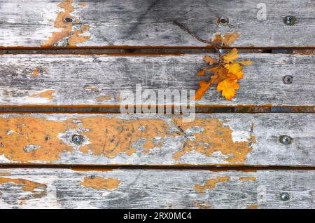 Feuilles de chêne jaune d'automne sur le vieux fond en bois avec espace de copie Banque D'Images