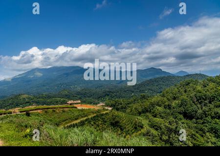Paysage naturel étonnant Wayanad Kerala beau ciel nuageux avec des montagnes vertes lieu à voir dans le propre pays de dieu Voyage et image touristique. Banque D'Images