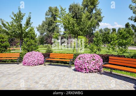 Aire de repos avec banc entouré de fleurs de pétunia en fleurs à Kiev, Europe. Place pour se reposer dans le parc de la ville Banque D'Images