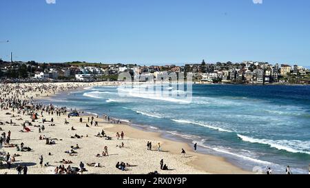 Un groupe de personnes diverses ayant une journée de plaisir à la plage dans la belle Sydney, Australie. Banque D'Images
