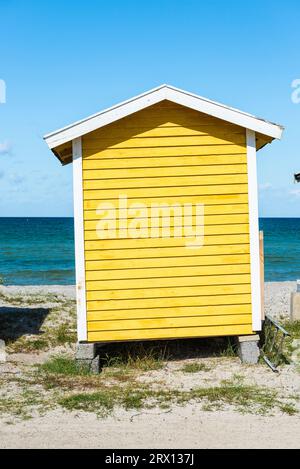 Vue frontale de l'arrière d'une cabane en bois jaune sur la plage de Skanör med Falsterbo à la Öresund au soleil du matin, Skåne, Suède Banque D'Images