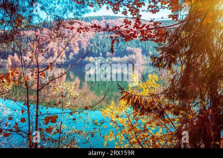 Lac de montagne en automne Banque D'Images