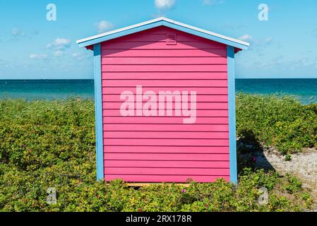 Vue frontale de l'arrière d'une cabane en bois rouge et blanc sur la plage de Skanör med Falsterbo à la Öresund au soleil du matin, Skåne, Suède Banque D'Images