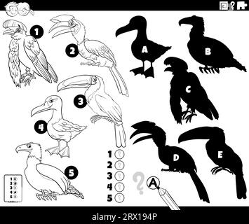 Illustration de dessin animé noir et blanc de trouver les ombres à droite pour le jeu éducatif d'images avec des oiseaux animaux personnages à colorier page Illustration de Vecteur