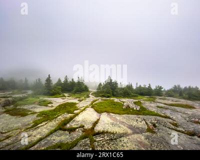 Sommet Cadillac dans le parc national Acadia dans le Maine. Banque D'Images