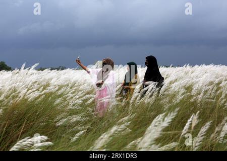 Dhaka, Bangladesh. 20 septembre 2023. La zone de Sariaghat de ​​Keraniganj adjacente à la capitale a été créée avec une beauté unique de fleurs catkin. Les visiteurs affluent tous les jours pour profiter de cette beauté à la périphérie de Dhaka, au Bangladesh, le 21 septembre 2023. Photo de Habibur Rahman/ABACAPRESS.COM crédit : Abaca Press/Alamy Live News Banque D'Images