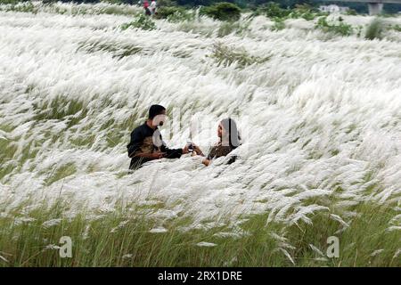 Dhaka, Bangladesh. 20 septembre 2023. La zone de Sariaghat de '' ‹'' Keraniganj adjacente à la capitale a été créée avec une beauté unique de fleurs catkin. Les visiteurs affluent tous les jours pour profiter de cette beauté à la périphérie de Dhaka, au Bangladesh, le 21 septembre 2023. Photo de Habibur Rahman/ABACAPRESS.COM crédit : Abaca Press/Alamy Live News Banque D'Images