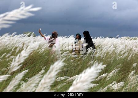 Dhaka, Bangladesh. 20 septembre 2023. La zone de Sariaghat de ​​Keraniganj adjacente à la capitale a été créée avec une beauté unique de fleurs catkin. Les visiteurs affluent tous les jours pour profiter de cette beauté à la périphérie de Dhaka, au Bangladesh, le 21 septembre 2023. Photo de Habibur Rahman/ABACAPRESS.COM crédit : Abaca Press/Alamy Live News Banque D'Images