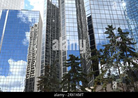 Gratte-ciel de Calgary. Vue sur les gratte-ciel de Calgary. Banque D'Images