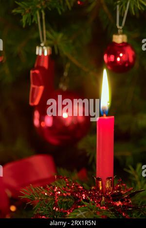 Bougie rouge sur le sapin de Noël Banque D'Images