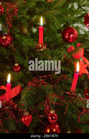 Bougie rouge sur le sapin de Noël Banque D'Images