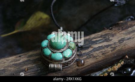 Magnifique pendentif turquoise sur une branche morte dans l'eau. Banque D'Images