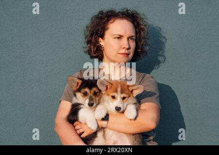 Magnifique femme aux cheveux sombres, courts et bouclés portent deux adorables chiots Pembroke Welsh Corgi dans les bras. Canines multicolores tranquillement assis sur chaud Banque D'Images