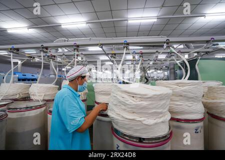 Comté de Luannan, Chine - 5 septembre 2022 : les travailleurs vérifient les bandes de fil de coton sur la chaîne de production de filature. Banque D'Images