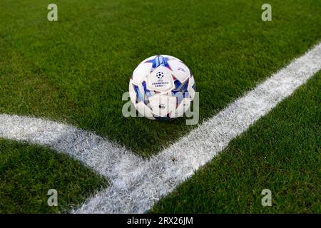 Adidas UEFA Champions League Pro Match ball, logo, sur gazon, drapeau de coin, Allianz Arena, Munich, Bayern, Allemagne Banque D'Images