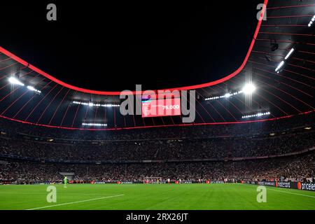 Vue d'ensemble, tribune, éclairé, éclairage, tableau d'affichage, foule, 75, 000, épuisé, projecteurs, Ligue des champions, Allianz Arena, Munich, Bayern Banque D'Images