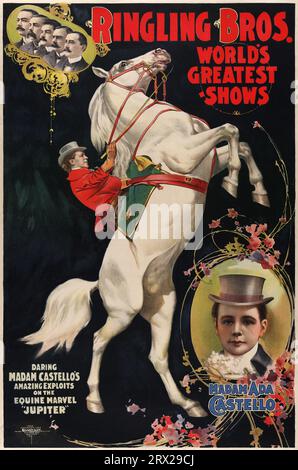 Ringling Bros. Les plus grands spectacles du monde : Madame Ada Castello. Oser les exploits étonnants de Madame Castello sur la merveille équine 'Jupiter'. Affiche promotionnelle pour Ringling Brothers Circus Banque D'Images