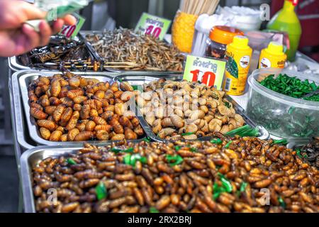 Phuket, Thaïlande - 21 février 2018 : nourriture thaïlandaise vers à soie épicés frits, insectes au marché nocturne. Insectes rôtis, insectes sur le comptoir en vente dans Un Banque D'Images