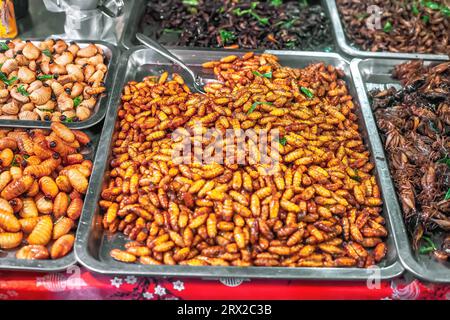 Nourriture thaïlandaise vers à soie épicés frits et insectes au marché nocturne de Phuket, Thaïlande. Insectes rôtis en vente au comptoir en Asie. lar naturel exotique Banque D'Images