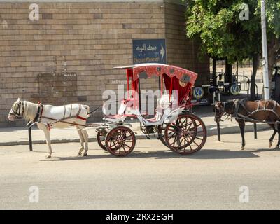 Une calèche à cheval attendant les passagers au Musée Nubien dans la ville d'Assouan, Egypte, Afrique du Nord, Afrique Banque D'Images