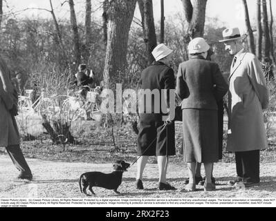 Dans les années 1950 Un groupe de personnes âgées sont debout et bavardent un jour de printemps. L'un d'eux tient un teckel en laisse. Banque D'Images