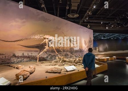 Drumheller, Alberta, Canada-12 décembre 2021 : le Royal Tyrrell Museum of Palaeontology abrite la plus grande collection de fossiles de dinosaures au Canada. Banque D'Images