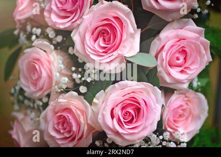 Beau bouquet rose rose gros plan. Banque D'Images