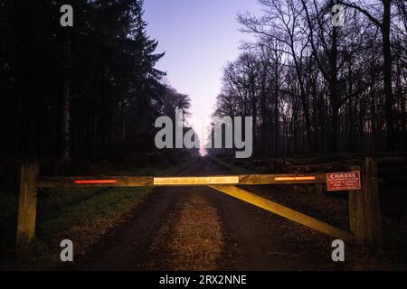 France, Bretagne, Sainte-Hélène le 2021-12-21. La forêt domaniale de Coetquen au lever du soleil à la fin de l'automne. Photographie de Martin Bertrand. France, Bretagne, Banque D'Images