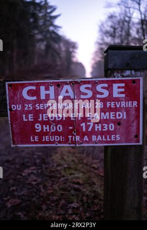 France, Bretagne, Sainte-Hélène le 2021-12-21. La forêt domaniale de Coetquen au lever du soleil à la fin de l'automne. Photographie de Martin Bertrand. France, Bretagne, Banque D'Images